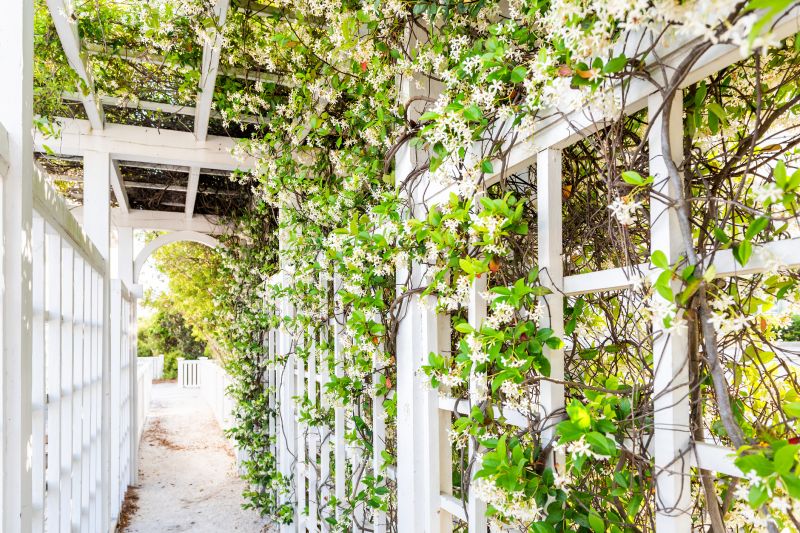 What To Expect During A Commercial Pergola Or Trellis Building Project